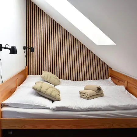 Wellness Vizmberk Daire *