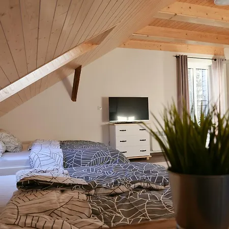Wellness Vizmberk Velke Losiny