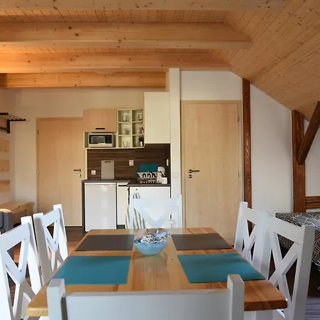 Vizmberk Apartment *